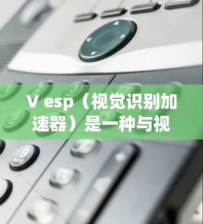 V esp（视觉识别加速器）是一种与视觉识别技术相关的加速器，主要用于加速机器学习模型在视觉识别任务中的训练和推理。以下是对Vesp的详细分析和总结