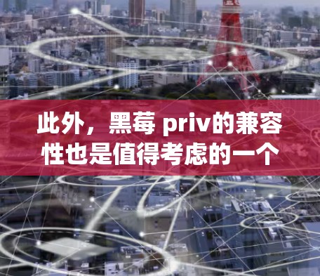 此外，黑莓 priv的兼容性也是值得考虑的一个方面。它是否能够适应不同类型的网络环境，比如Wi-Fi、蓝牙、4G LTE等？这对于用户来说可能是一个重要的考虑因素，尤其是在需要高兼容性的需求下