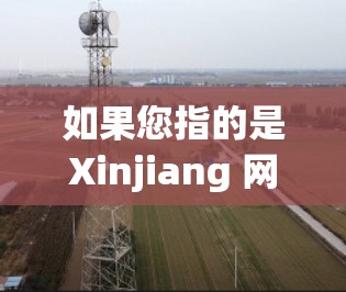 如果您指的是Xinjiang 网段作为VPN服务器，我建议您访问 Xinjiang 网站，了解其具体的服务器环境和使用情况。Xinjiang 网段可能有一些专门的VPN服务或特定的服务器供用户使用
