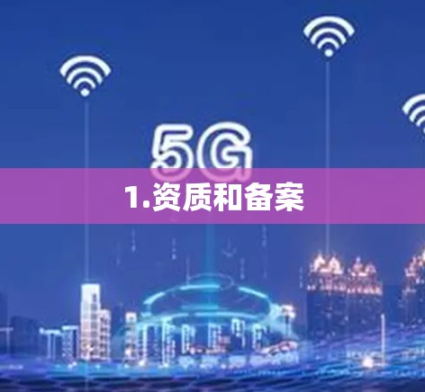 1.资质和备案