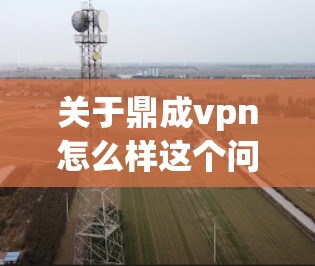 关于鼎成vpn怎么样这个问题，需要从多个角度来分析，包括市场前景、技术发展、成本控制、可持续性等方面。以下是一些关键点