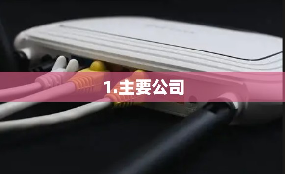 1.主要公司
