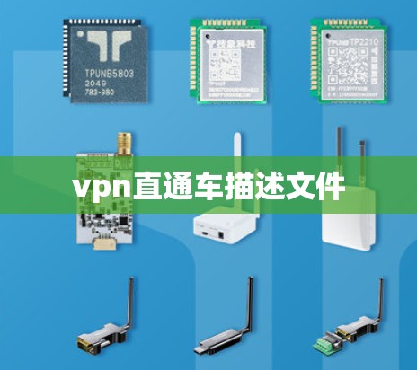 vpn直通车描述文件